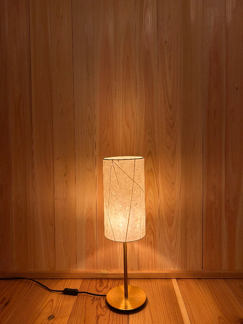 Table lamp with a warm glow on a wooden floor.
