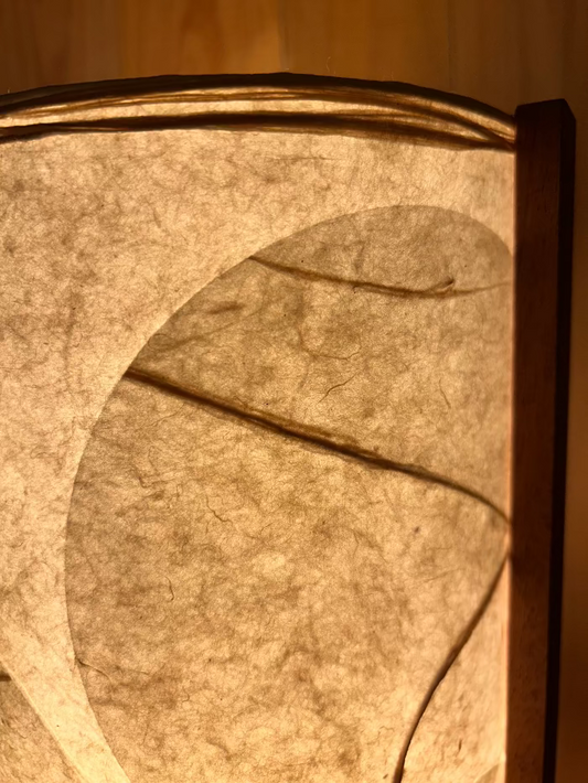 CIRCLES 19 | Handmade Table Lamp | Mahogany Frame