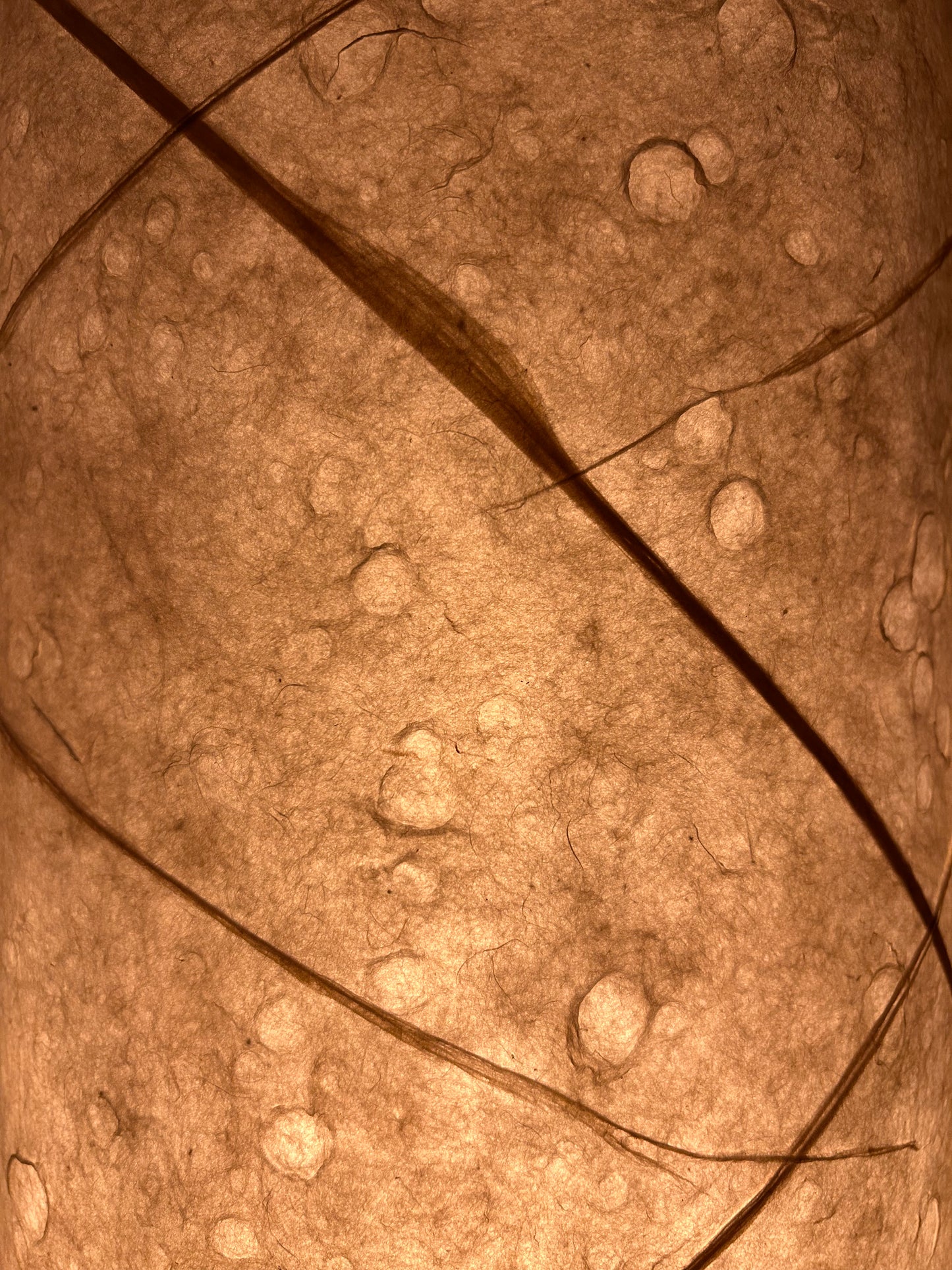 LIN 25 | 手漉き和紙の灯り