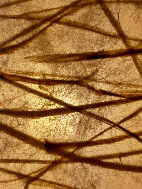 WATARI 15 | Handmade Table Lamp